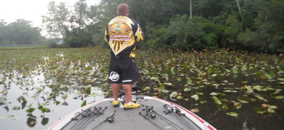 pocomoke-river-bass-fishing-report-august-9th-2014-lily-pads.jpg