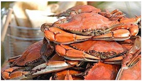 maryland-crabbing-season-opens-april-1st-2017-big.jpg