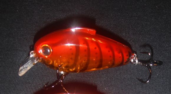 Melvin Smitson :: Where To Buy The Bill Lewis ECHO In Honey Craw Color?