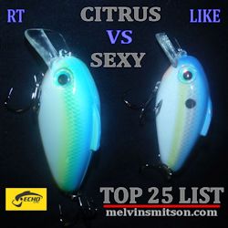 top-25-list-bill-lewis-echo-citrus-vs-sexy-side.jpg