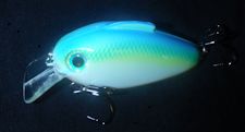 where-to-buy-bill-lewis-citrus-shad-echo-1.jpg