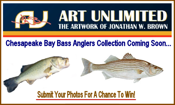 chesapeakebaybassanglersphotocontest2.png