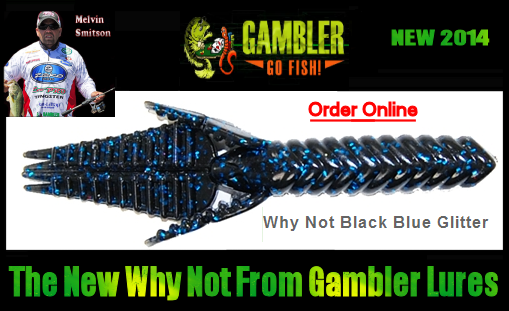 thenewwhynotgamblerlures.png