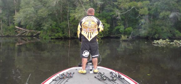 pocomoke-river-bass-fishing-report-august-9th-2014-structure.jpg