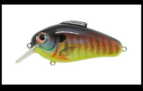 15-Rat-L-Trap-ECHO-1-75-Square-Bill-Crank-Bait-Colors-From-2015-featured.png