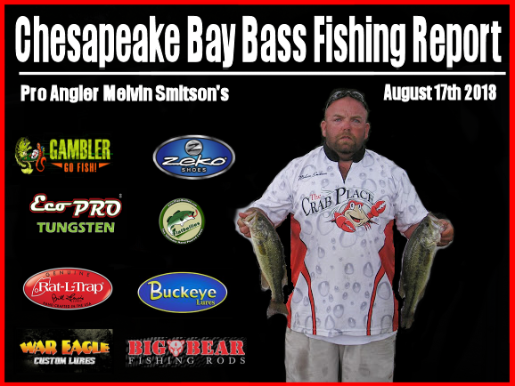 chesapeake-bay-bass-fishing-report-august-17th-2013.png