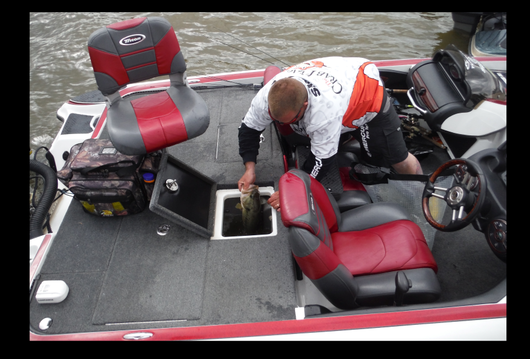 chesapeake-bay-bass-fishing-report-may-4th-2014-weigh-in-smitson.png